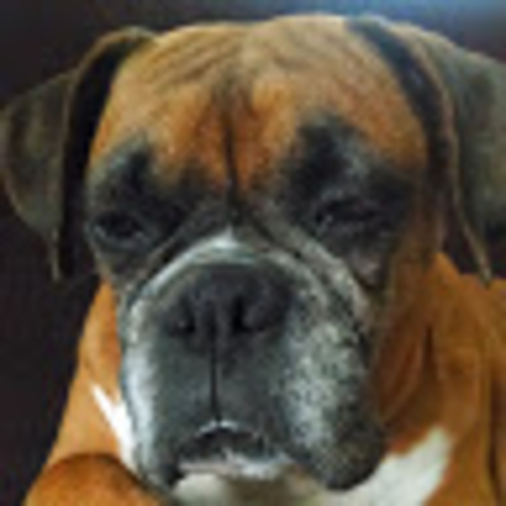 Meet your Posher, Linda